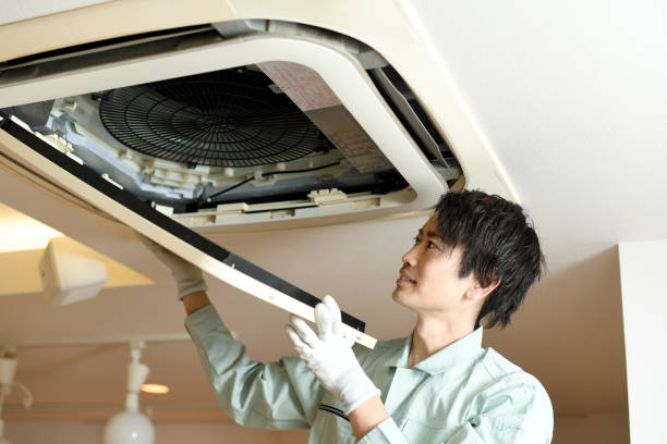 Best Air Vent Cleaning Services  in Tallapoosa, GA